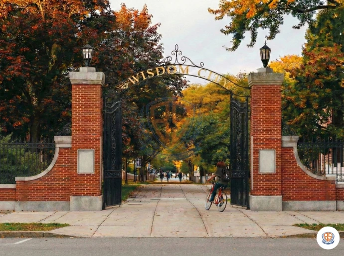 Entrance gate of the CBSE school campus surrounded by lush greenery
